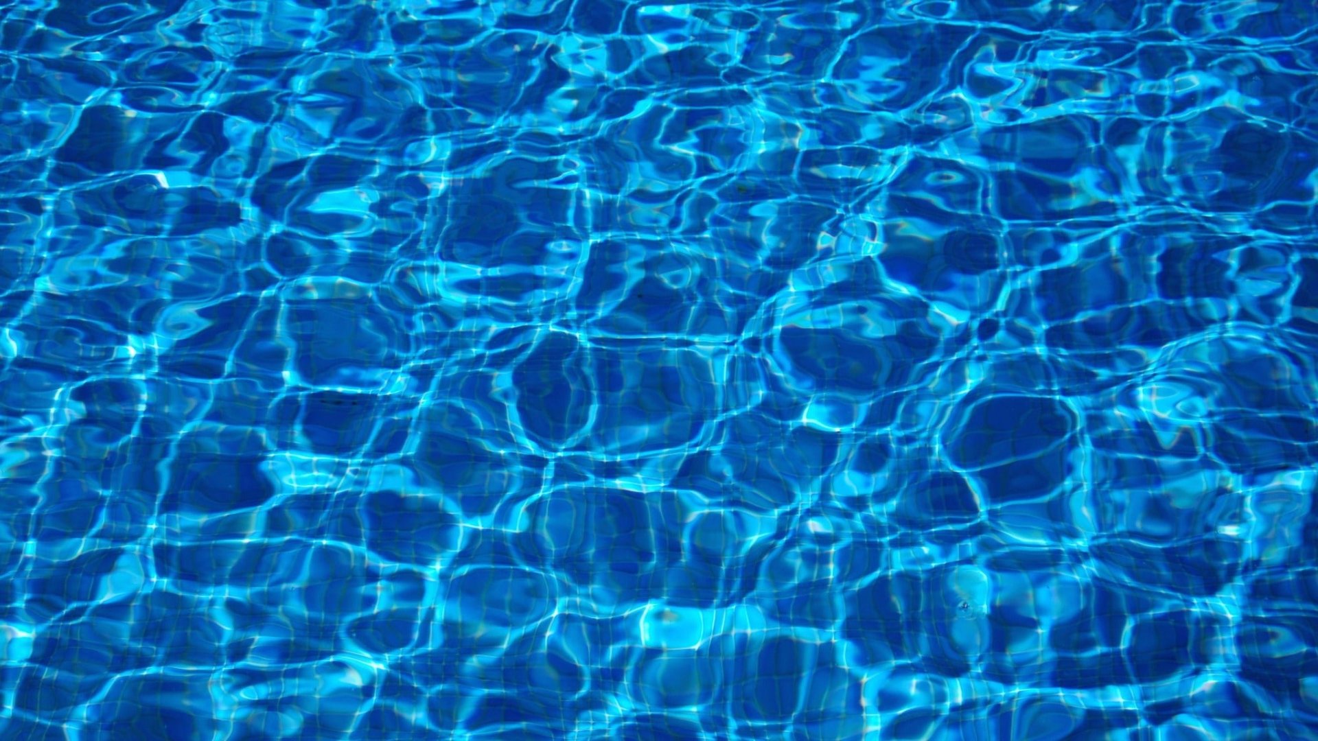 American Conference Women's Swimming & Diving Championship