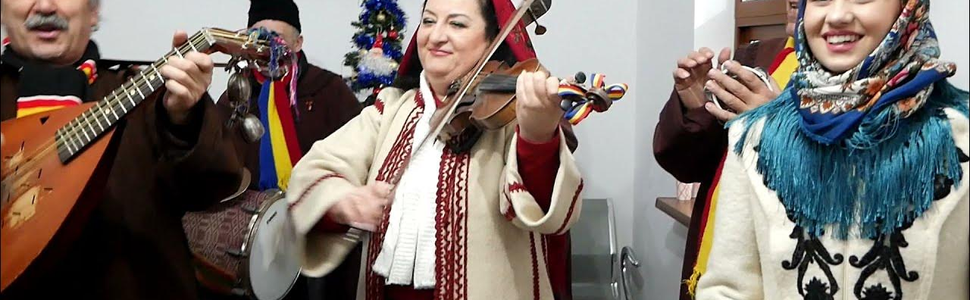 Ansamblul Stefan Voda