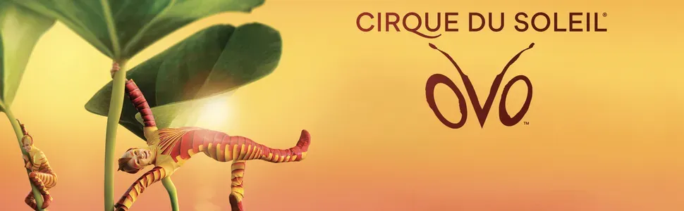 Cirque du Soleil