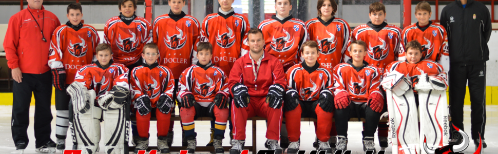 Dunaujvarosi Acelbikak