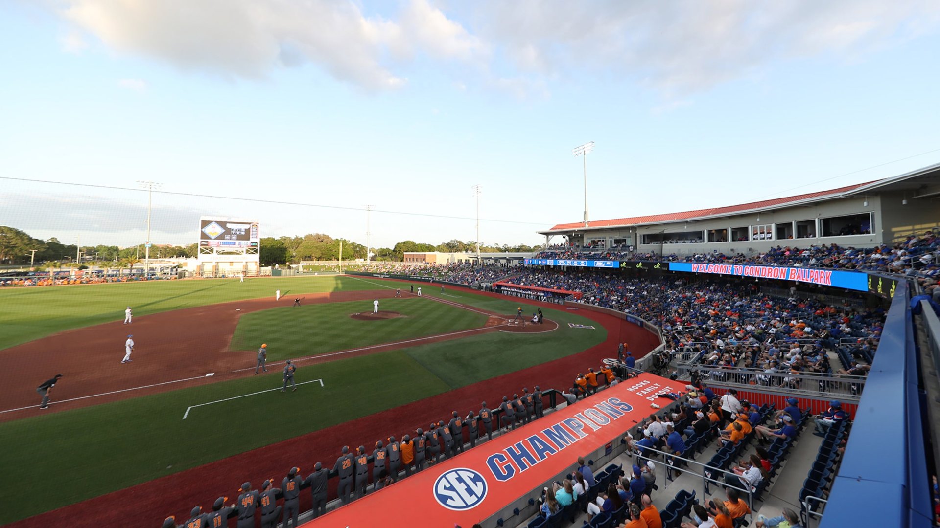Florida Gators Baseball