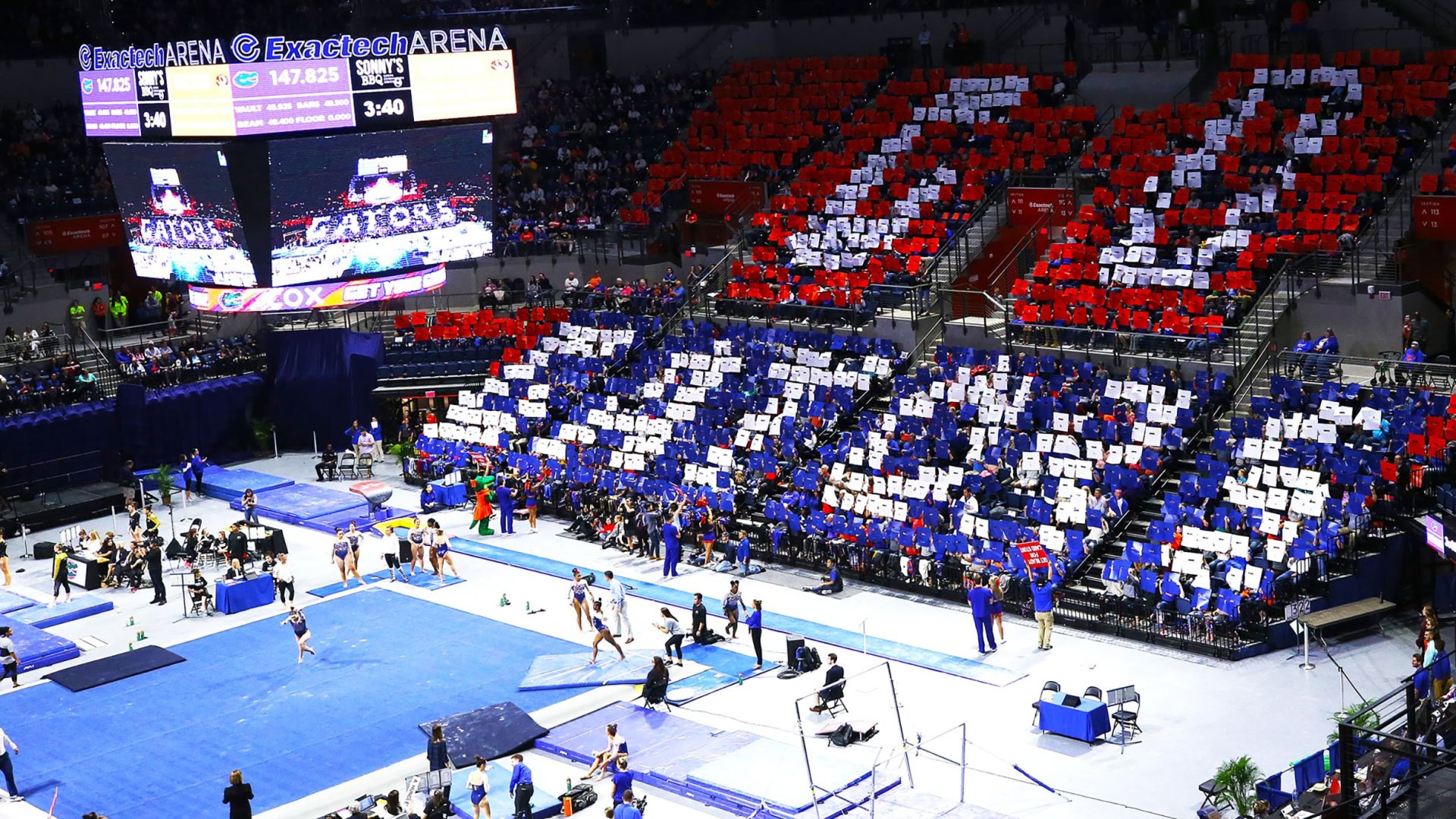 Florida Gators Gymnastics