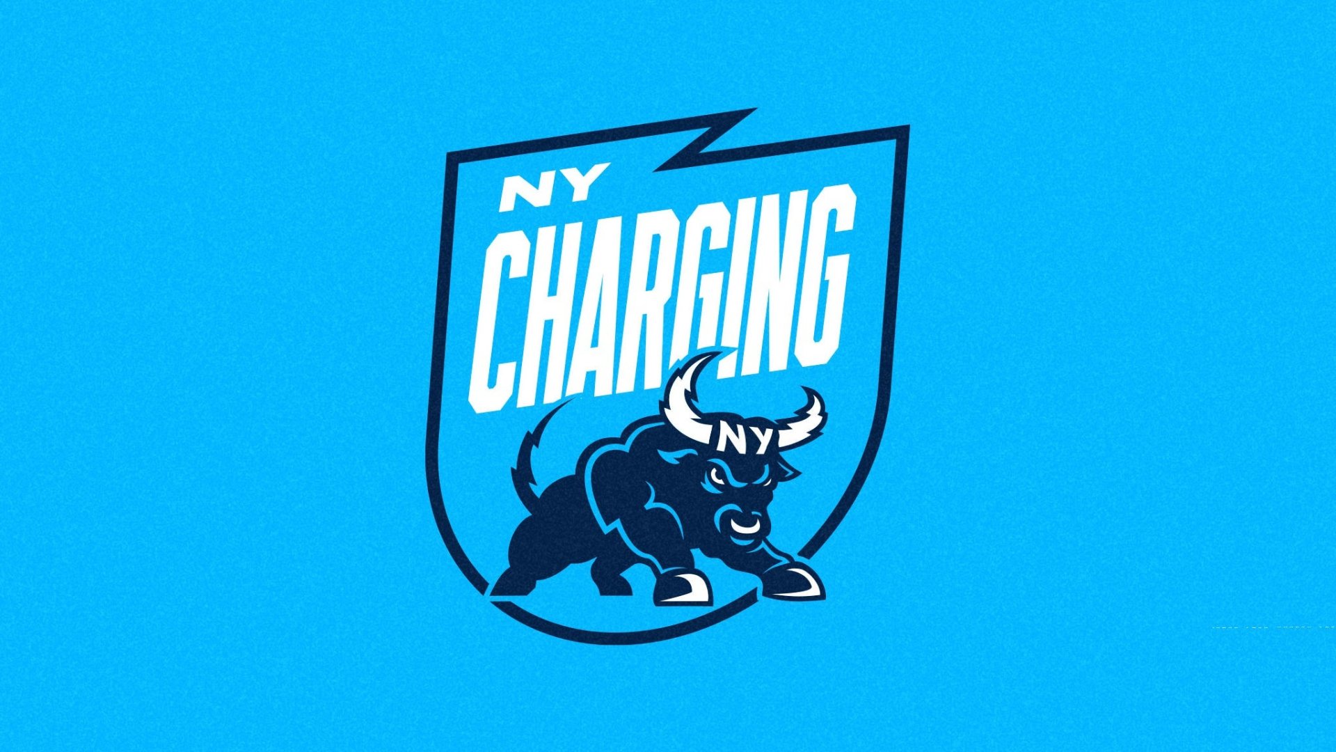 New York Charging