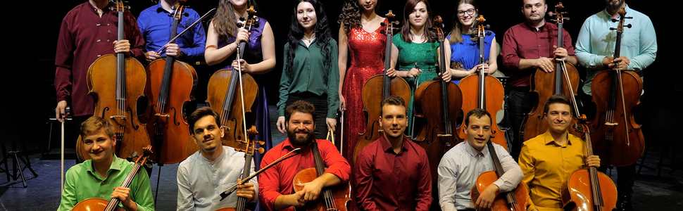 Orchestra Maestrului Marin Stefan