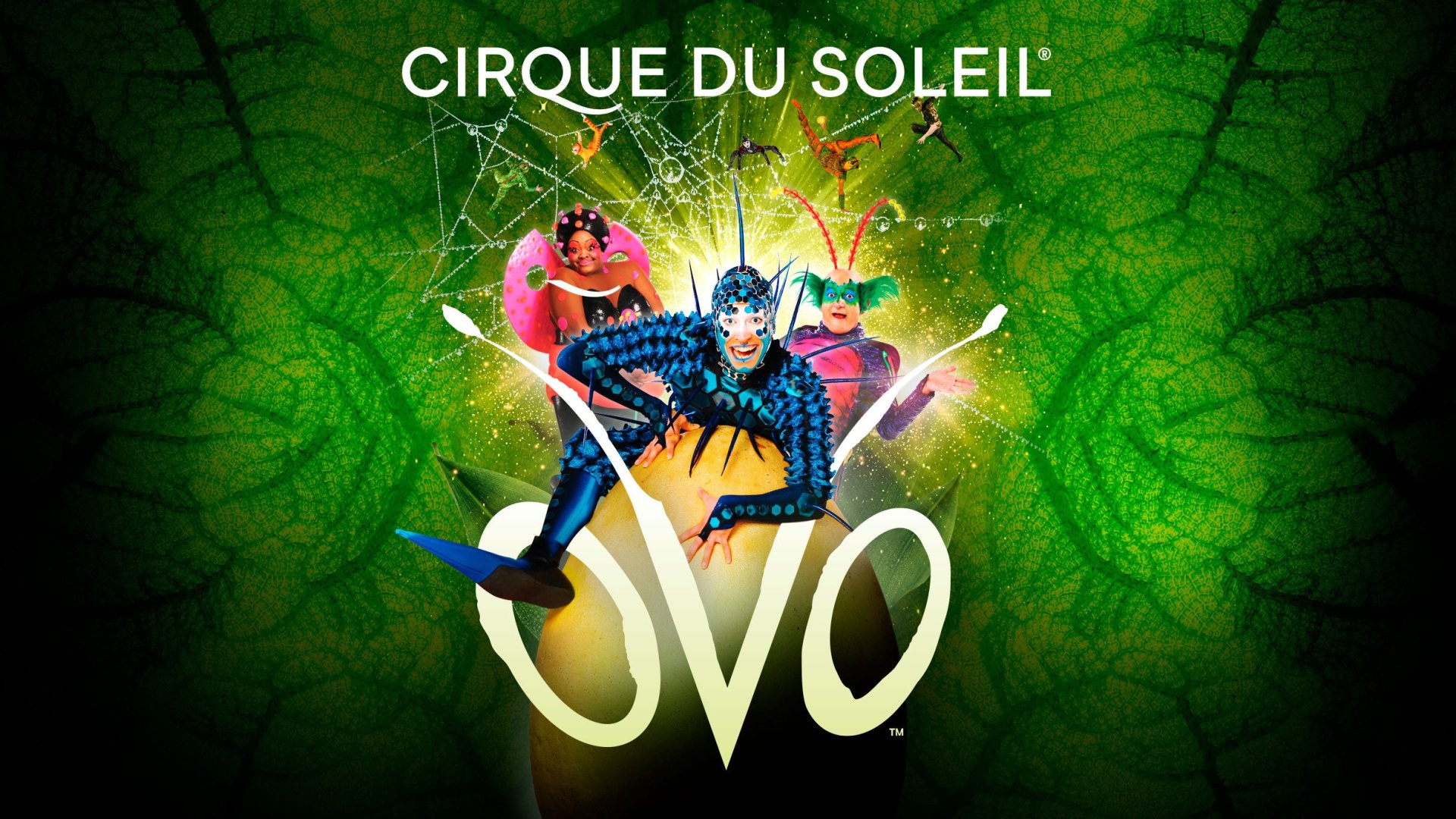 OVO Cirque du Soleil