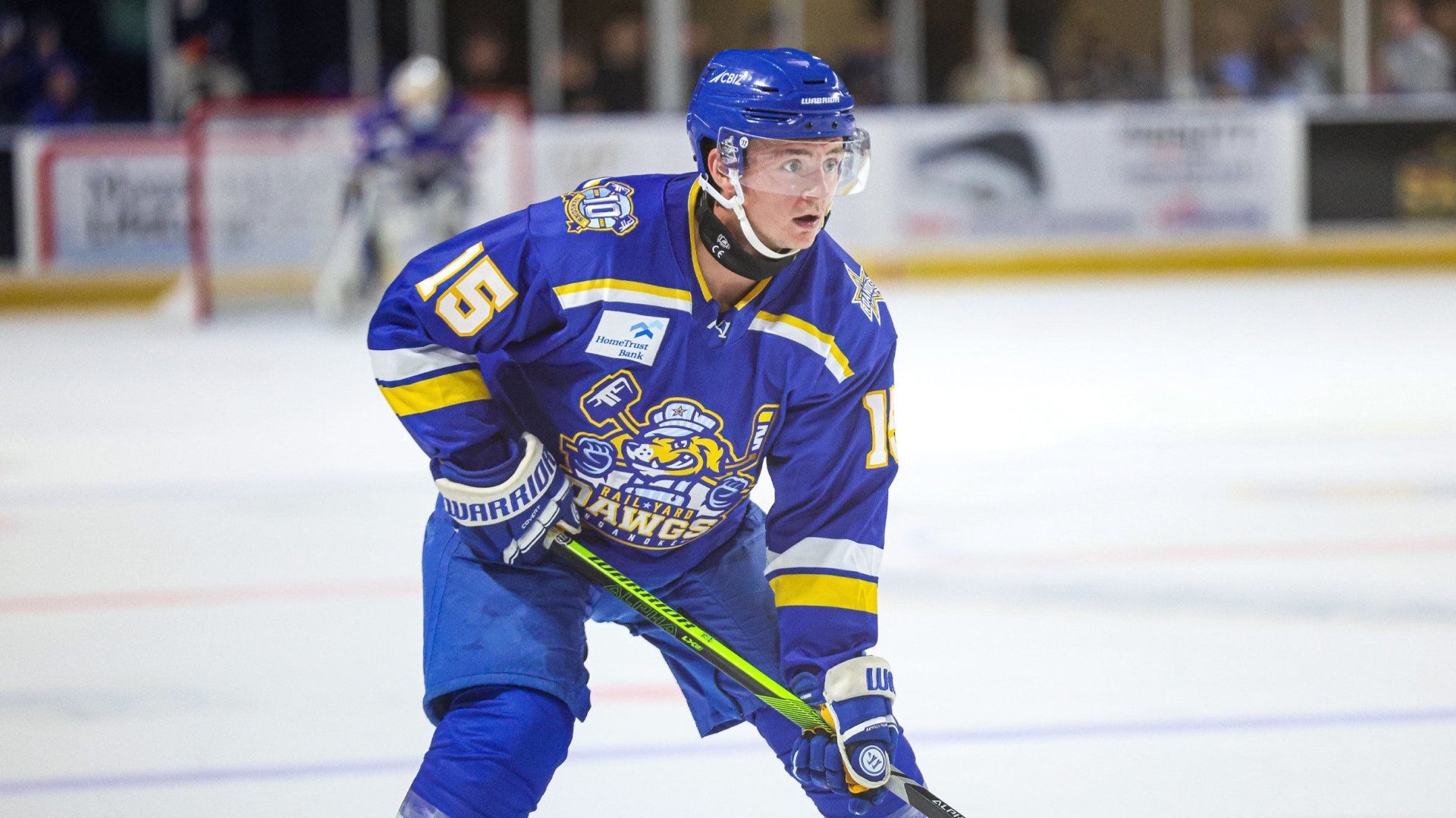 Roanoke Rail Yard Dawgs