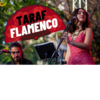 taraful flamenco