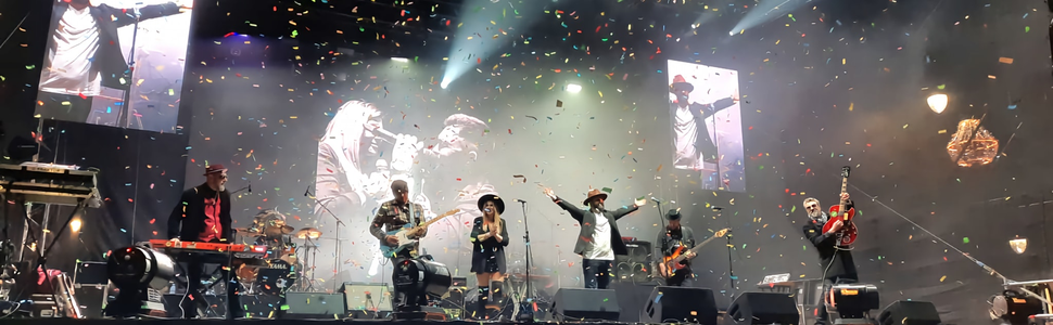 The Southern Cockroaches