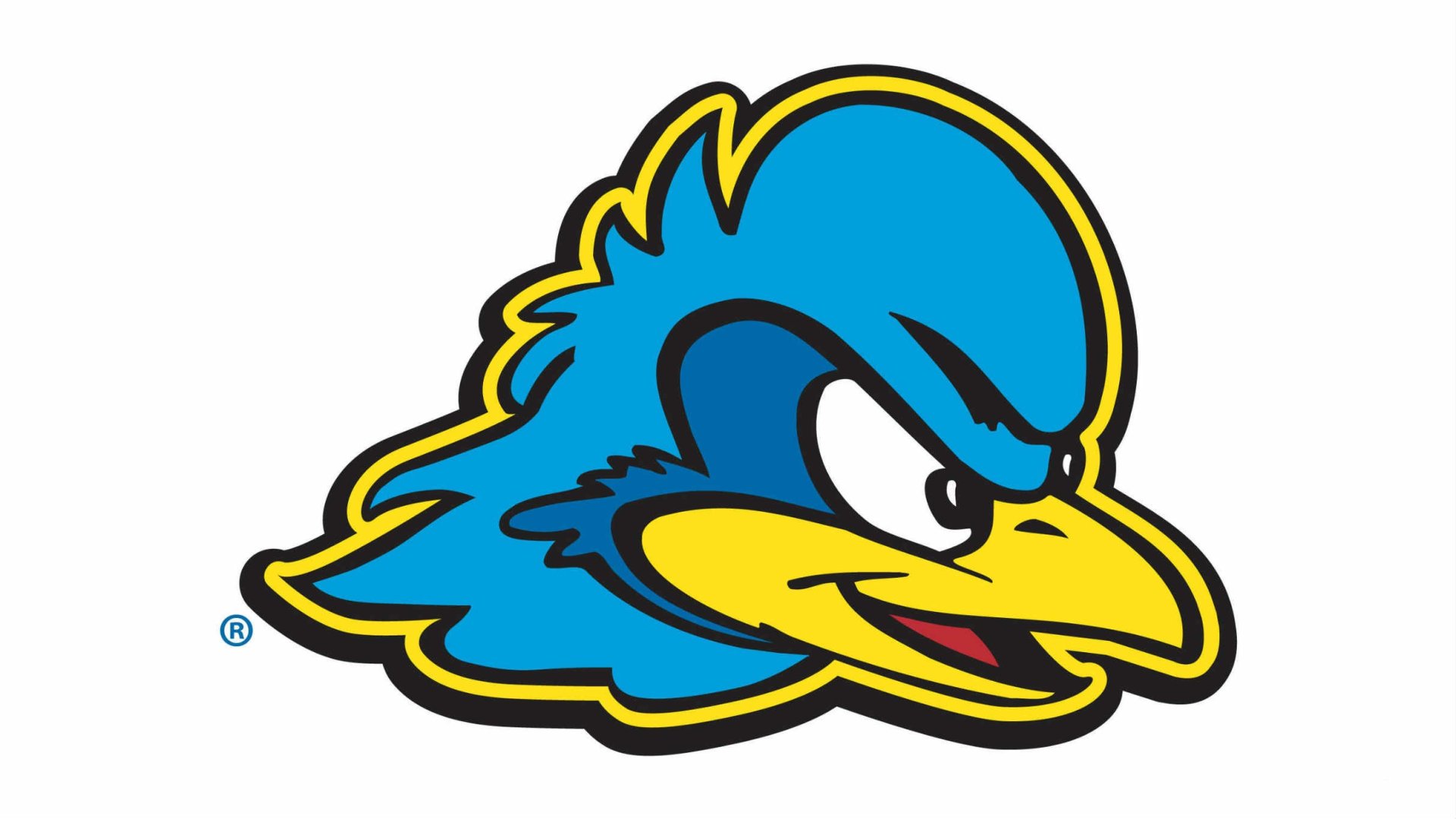University of Delaware Blue Hens Men's Baseball