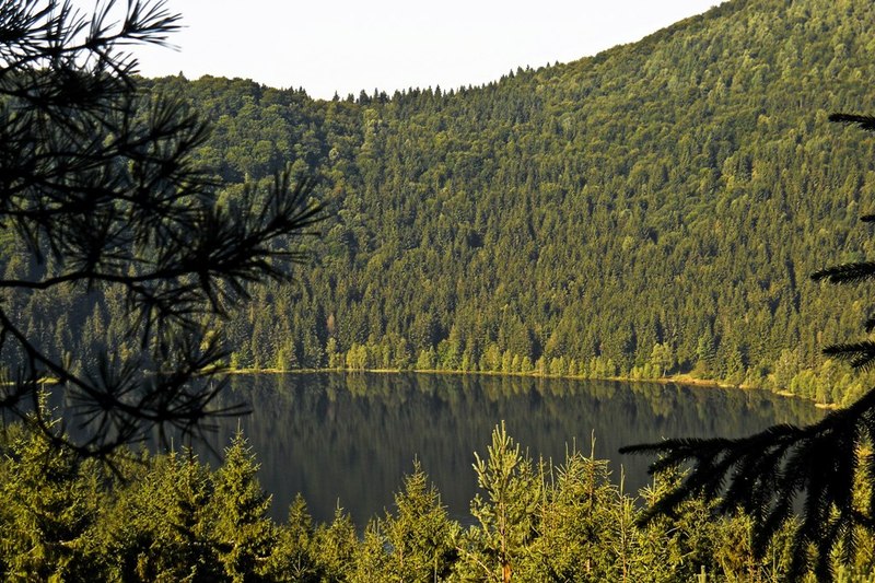 Lacul Sfânta Ana