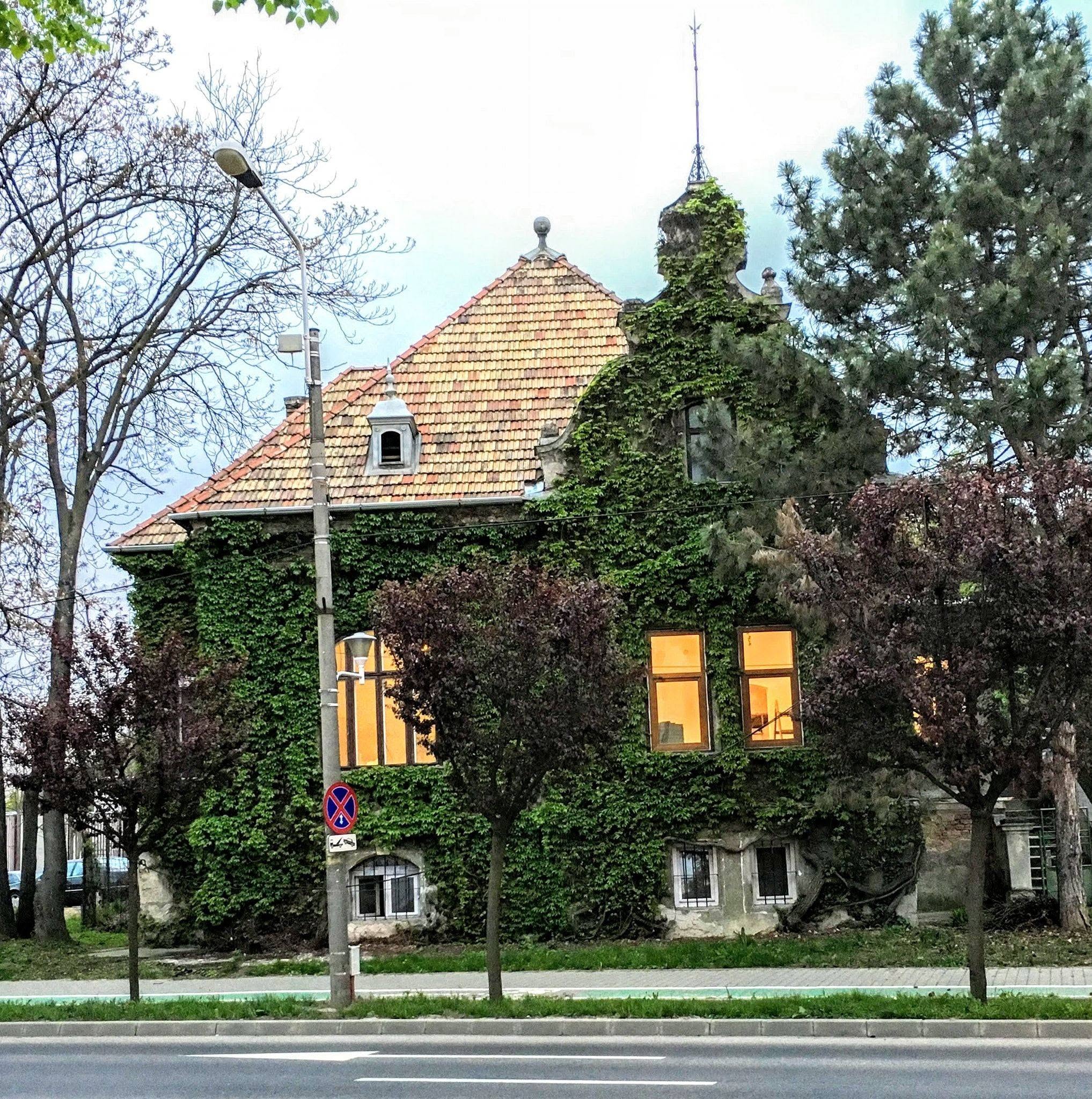 Casa cu Iederă